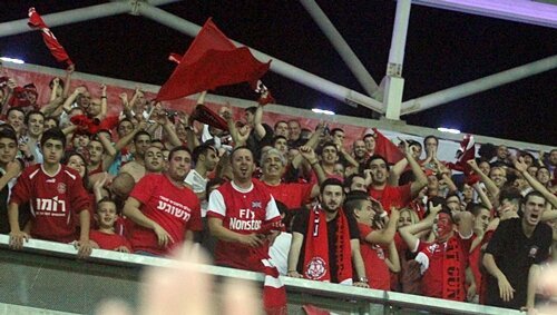 gav7 (1)